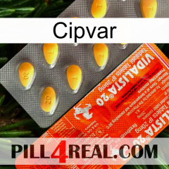 Cipvar new01